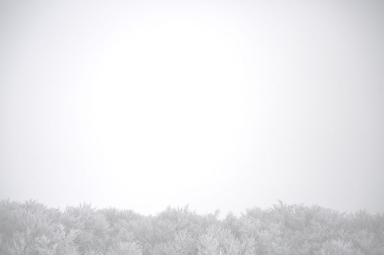 0Y8A8752